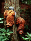 Western Gray Squirrel Atop Carved Raccoons Lámina fotográfica por Yvette Cardozo Western Gray Squirrel Atop Carved Raccoons Lámina fotográfica por Yvette Cardozo