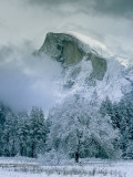 A Winter View of Half Dome Photographic Print by Marc Moritsch