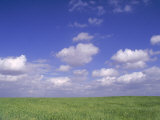 Wheat Fields Near Antequera, Spain Photographic Print by Gary Conner