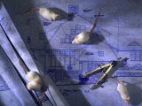 Mouse on Blue Print Photographic Print by Dan Gair