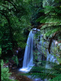 Russell Falls with Ferns in Foreground, Mt. Field National Park, Australia Photographie par John Banagan
