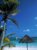 Tropical Beach Photographic Print by Jeff Greenberg