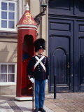 Guard at Amalienborg Palace, Copenhagen, Denmark Photographic Print by Charlotte Hindle