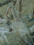 Detail from a San Mural Painting of a Man with Animal Features Photographie par Kenneth Garrett