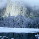 Mercad River and Snow-Covered Black Oak Trees in Front of El Capitan, Yosemite National Park Photographie par Wes Walker