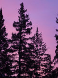 Sunrise, Banff, Alberta, Canada Photographic Print by Keith Levit