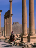 Rider on Camel Walking along the Colonnaded Street of Ruins, Palmyra, Syria Photographic Print by John Elk III