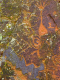 Petroglyphs Believed to Have Been Made by the Sinagua Indians Photographic Print by Charles Kogod