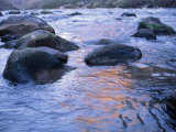 Boulders in Colerado River, Grand Canyon National Park, AZ Photographic Print by Amy And Chuck Wiley/wales