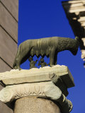 La louve avec Romulus et Remus, Rome, Italie Photographie par Angelo Cavalli