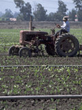 Farmer Sitting on Tractor Photographic Print by Steve Essig