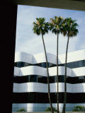 Beverly Hills, California, USA Photographic Print
