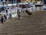 Independence Stampede Rodeo, Greeley, Colorado, USA Photographic Print