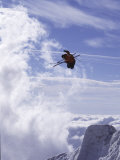 Low Angle View of a Skier in Mid Air Photographic Print