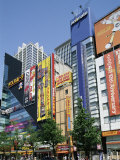 Tokyo, Japan Photographic Print