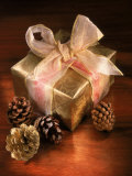 Christmas Gift with Gold Ribbon and Pinecones Photographic Print by Eric Kamp