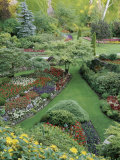 Butchart Gardens, Victoria, Canada Photographic Print