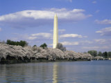 Washington Monument, Washington, D.C., USA Photographic Print
