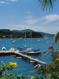 Trois Islets, Martinique Photographic Print