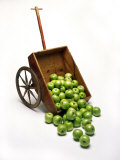 Cart with Apples Spilling Out Photographic Print by Howard Sokol
