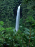 Silver Falls State Park, OR Photographic Print by Donald Higgs