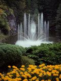 Butchart Gardens, Victoria, British Columbia, Canada Photographic Print