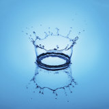 Water Drop and Splash Photographie par William Swartz