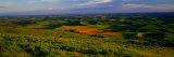 Fields and Wildflowers, Palouse Country, Eastern Photographie par Christopher Jacobson