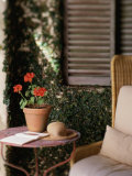 Potted Plant And Sunhat on a Table Photographic Print