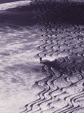 Ski Tracks in Snow Photographic Print