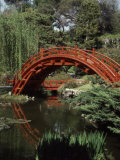 Moon Bridge Japanese Garden Huntington Botanical Gardens San Marino, California, USA Photographic Print Moon Bridge Japanese Garden Huntington Botanical Gardens San Marino, California, USA Photographic Print