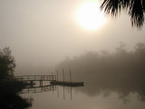 Steinhatchee River, Florida Photographic Print by Pat Canova