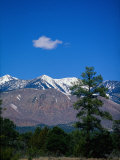 Snow-Capped Mountains, AZ Photographic Print by James Lemass