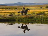 Ranch Living at The Ponderosa Ranch, Seneca, Oregon, USA Photographic Print by Joe Restuccia III