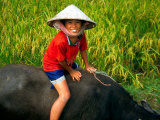 Boy Riding Water Buffalo, Mekong Delta, Vietnam Photographie par Keren Su
