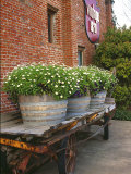 Flowers on Old Baggage Wagon, Vintage 1870 Shops, Napa Valley, California, USA Photographie par John Alves