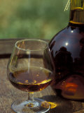 Armagnac is Made From White Grapes, Aquitania, France Photographic Print by Michele Molinari