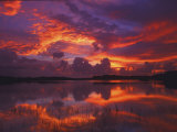 Dawn at Nine Mile Pond, Everglades National Park, Florida, USA Lámina fotográfica por Rob Tilley