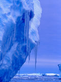 Blue Icebergs, Antarctica Photographic Print by Joe Restuccia III