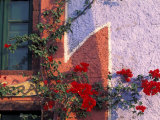 Traditional Architecture on Santorini, Greece Fotografie-Druck von Keren Su