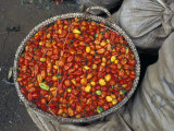 Hot Red Pepper at the Local Market, Madagascar Photographic Print by Michele Molinari