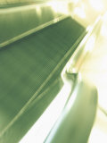 Blurry Escalator Going Up Lámina fotográfica