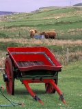 Farm Animals and Wheelbarrow, Kilmuir, Isle of Skye, Scotland Fotografiskt tryck av Gavriel Jecan Farm Animals and Wheelbarrow, Kilmuir, Isle of Skye, Scotland Fotografiskt tryck av Gavriel Jecan