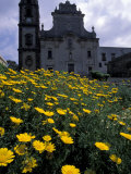 Baroque Style Cathedral and Yellow Daisies, Lipari, Sicily, Italy Photographic Print by Michele Molinari