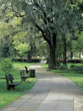 Charleston, South Carolina, USA Photographic Print by Adam Jones