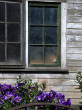 Old Barn with Cat in the Window, Whitman County, Washington, USA Photographic Print by Julie Eggers
