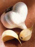 Garlic Photographic Print by Peter Ardito