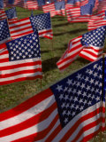 Grassy Field with American Flags Stuck in Ground Photographic Print by Kevin Leigh