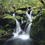 Misty Waterfall in Lush Green Woods Photographie