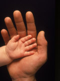 Big Hand, Little Hand Photographic Print by David Porter